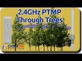 2.4GHz PTMP Through Trees 2.4GHz PTMP Through Trees