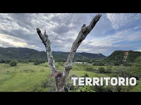 Niños de primaria hablan sobre el territorio