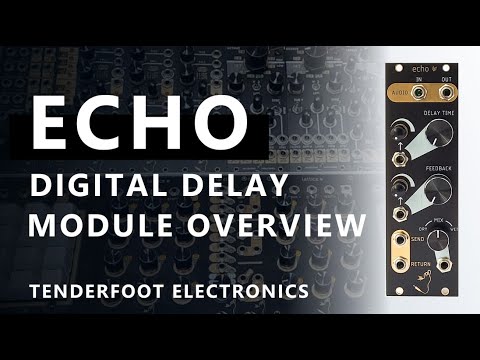Tenderfoot Echo & Feed Eurorack Delay Module (and expander) image 2