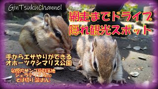 【トラベル】網走ドライブ！シマリス公園！ 卯原内サンゴ草！ ジェラート！ 十割そばと天ぷら！