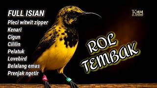 Download lagu Kombinasi ROL TEMBAK‼️ Masteran sogon full isian mewah mp3 Download lagu Kombinasi ROL TEMBAK‼️ Masteran sogon full isian mewah mp3