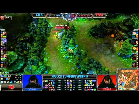 Turtle goes a little too wild.