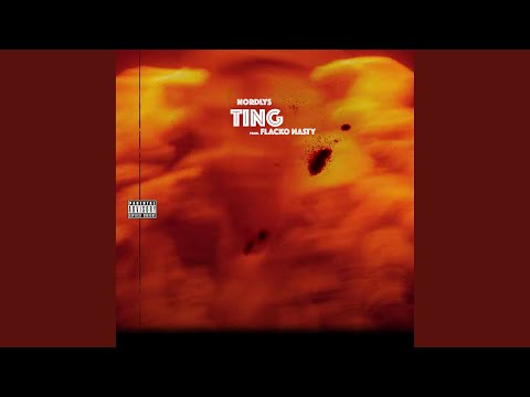TING (feat. Flacko Nasty)