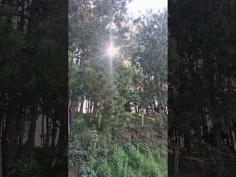 Lugares hermosos de Tarqui, Huila