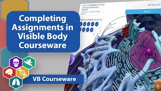 Completing Assignments in Visible Body Courseware