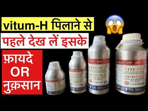 Vitum-H पिलाने से पहले 😱जान ले इसके फ़ायदे और नुक़सान 😳॥vitum-h real review || (हिंदी में)
