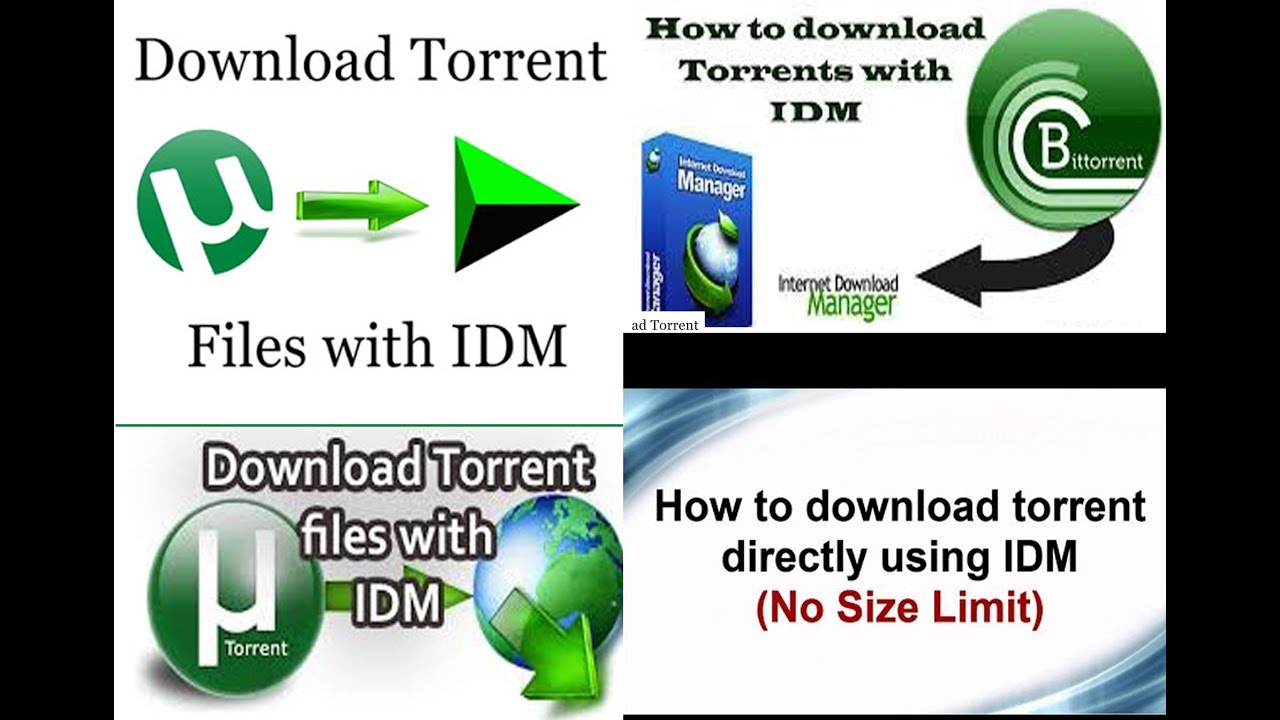 torrent file download using idm torrent file download using idm