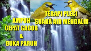 Download lagu TERAPI PLECI SUARA AIR MENGALIR... mp3