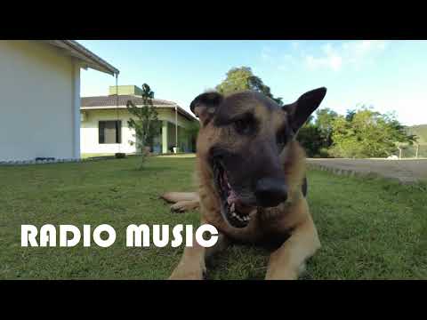 Back To Life (No Copyright Music)