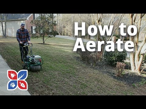  Do My Own Lawn Care - How to Aerate Video 