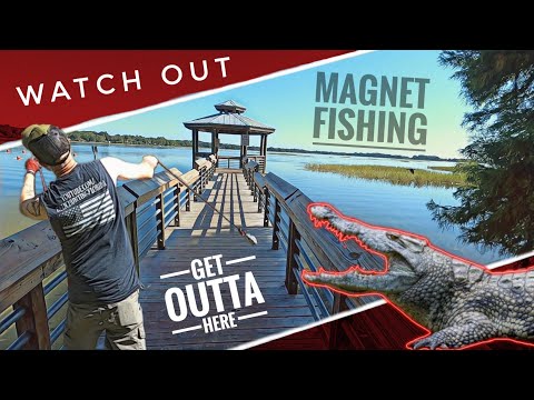 Watch Out! Chased By A Alligator Magnet Fishing Madness