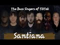 Santiana | The Bass Singers of TikTok