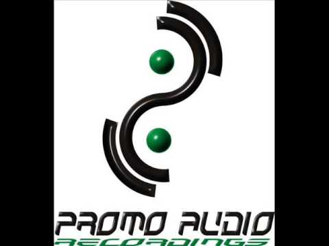 Critycal Dub -  Trouble Man ( Promo Audio recordings )