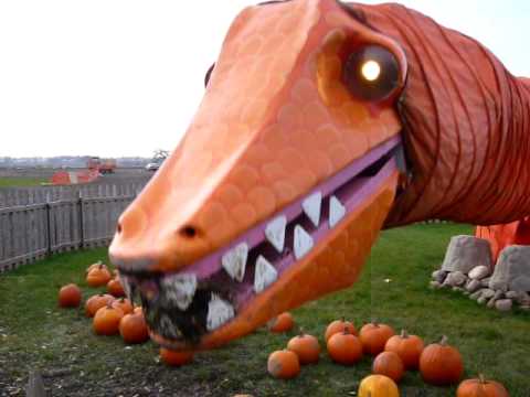 Pumpkin Eating Dinosaur Dancing!!!!!