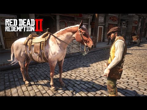 VIDA DE FAZENDEIRO - NOVA SÉRIE IMERSIVA - RED DEAD REDEMPTION 2