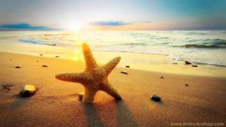 BEACH DAY | Ocean Wave Sounds Help You Relax, Meditate & Fall Asleep (10 Hours)