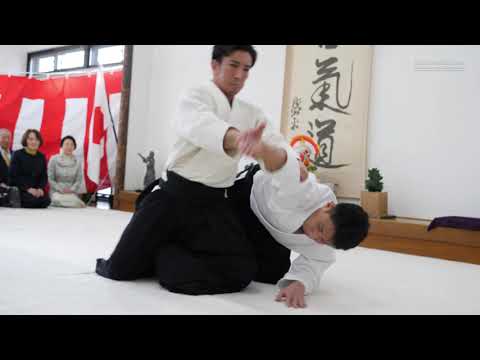 UESHIBA Mitsuteru Hombu Dojo-cho - Aikido Kagamibiraki 2026