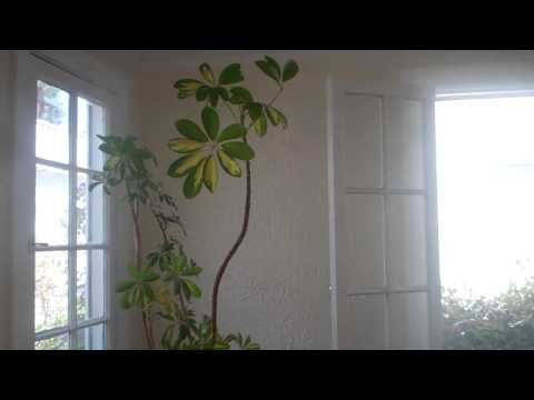 Our Hollywood Hills Bungalow.  =)