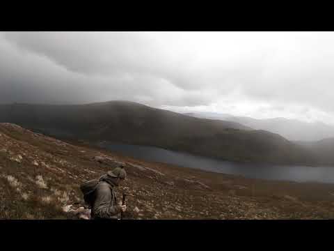 Red Stag hunting in Scotland
