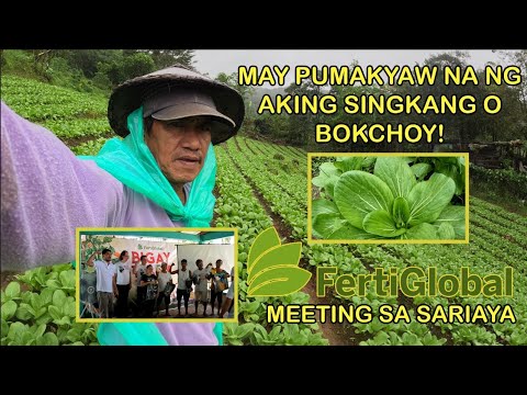 MAY PUMAKYAW NA NG AKING SINGKANG O BOKCHOY! FERTIGLOBAL MEETING SA SARIAYA