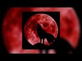 Selena Gomez, Marshmallow- Wolves (sped up)