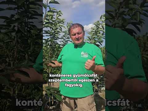 Őszi ültetés jobb, mint a tavaszi