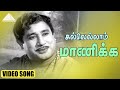 கல்லெல்லாம் மாணிக்க Video Song Aalayamani Movie Songs Sivaji Gan
