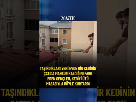 Bir kedinin çatıda mahsur kaldığını fark eden gençler, kediyi ütü masasıyla böyle kurtardı #kedi