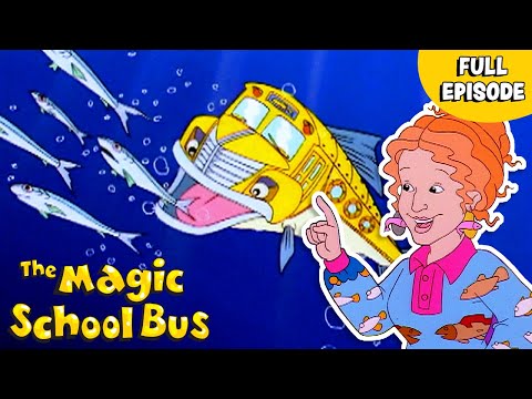 Migration | Goes Upstream | Full Episode | The Magic School Bus