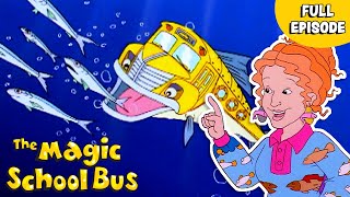 Migration | Goes Upstream | Full Episode | The Magic School Bus
