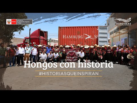 #HistoriasQueInspiran - [HONGOS COMESTIBLES] La riqueza de Lambayeque., video de YouTube