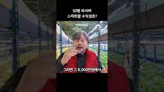 50평 와사비 스마트팜 수익은?