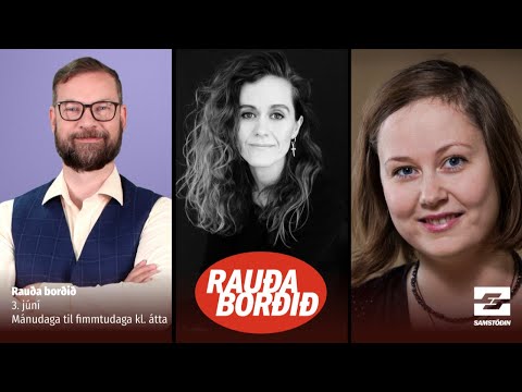 Lögregluárás, elítur, þingið og heimilisofbeldi