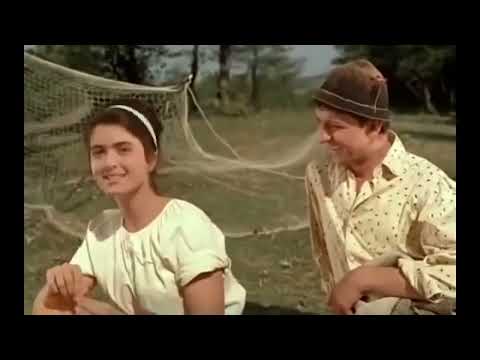 UN SURAS IN PLINA VARĂ