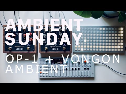 AMBIENT SUNDAY [39]: OP-1 + VONGON Paraphrase and Ultrasheer