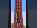 This Might Be My 4th Ninja Build Lowtaperfade Ninja Memes Brainrot Minecraft Fyp Broo