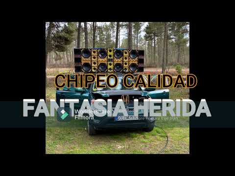 FANTASIA HERIDA SALSA CHIPEO