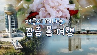 preview picture of video '장흥 여름여행 코스-탐진강,토요시장,갯장어요리,부춘정,정남진전망대 [전국시대]'