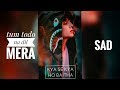 Tum Todo Na Dil Mera Sad Song Full Screen Whatsapp Status