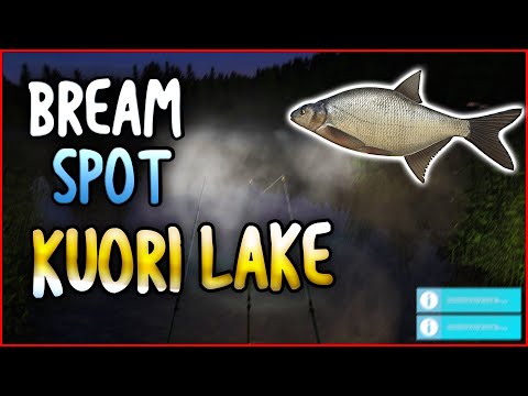 BREAM SPOT NA KUORI LAKE | EASY $$$ | Russian Fishing 4