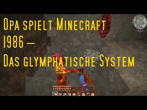 Opa spielt Minecraft 1986 – Das glymphatische System