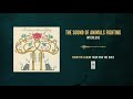 The Sound of Animals Fighting "Interlude"