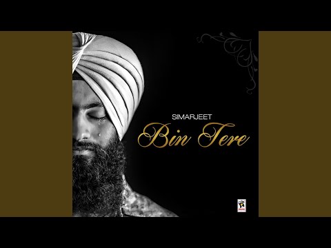 Bin Tere