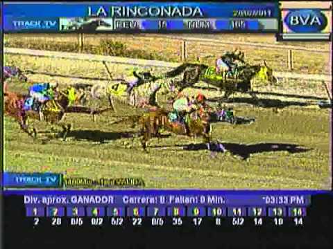 Domingo, 20 de Febrero de 2011 - La Rinconada