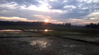 preview picture of video 'Melihat sunset di sawah dalam perjalanan ke langsa'
