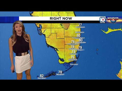 Local10News Weather :09/08/2023 morning edition
