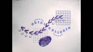 Deep Space Organisms - Inner Moment (2002)