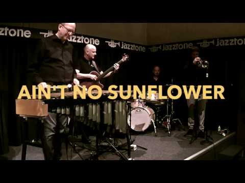 Wolfgang Lackerschmid Connection - Ain't No Sunflower