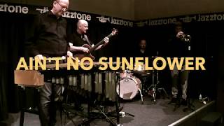 Wolfgang Lackerschmid Connection - Ain't No Sunflower