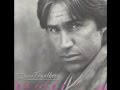 Dan Fogelberg-The way it must be